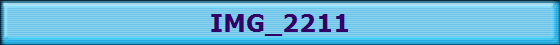 IMG_2211