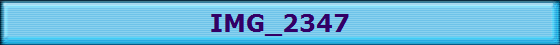 IMG_2347