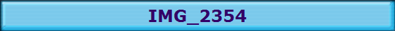 IMG_2354