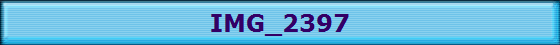 IMG_2397
