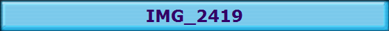 IMG_2419