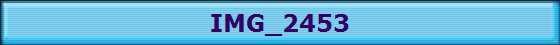 IMG_2453
