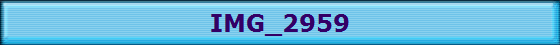 IMG_2959