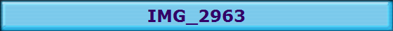 IMG_2963