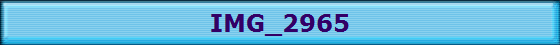 IMG_2965